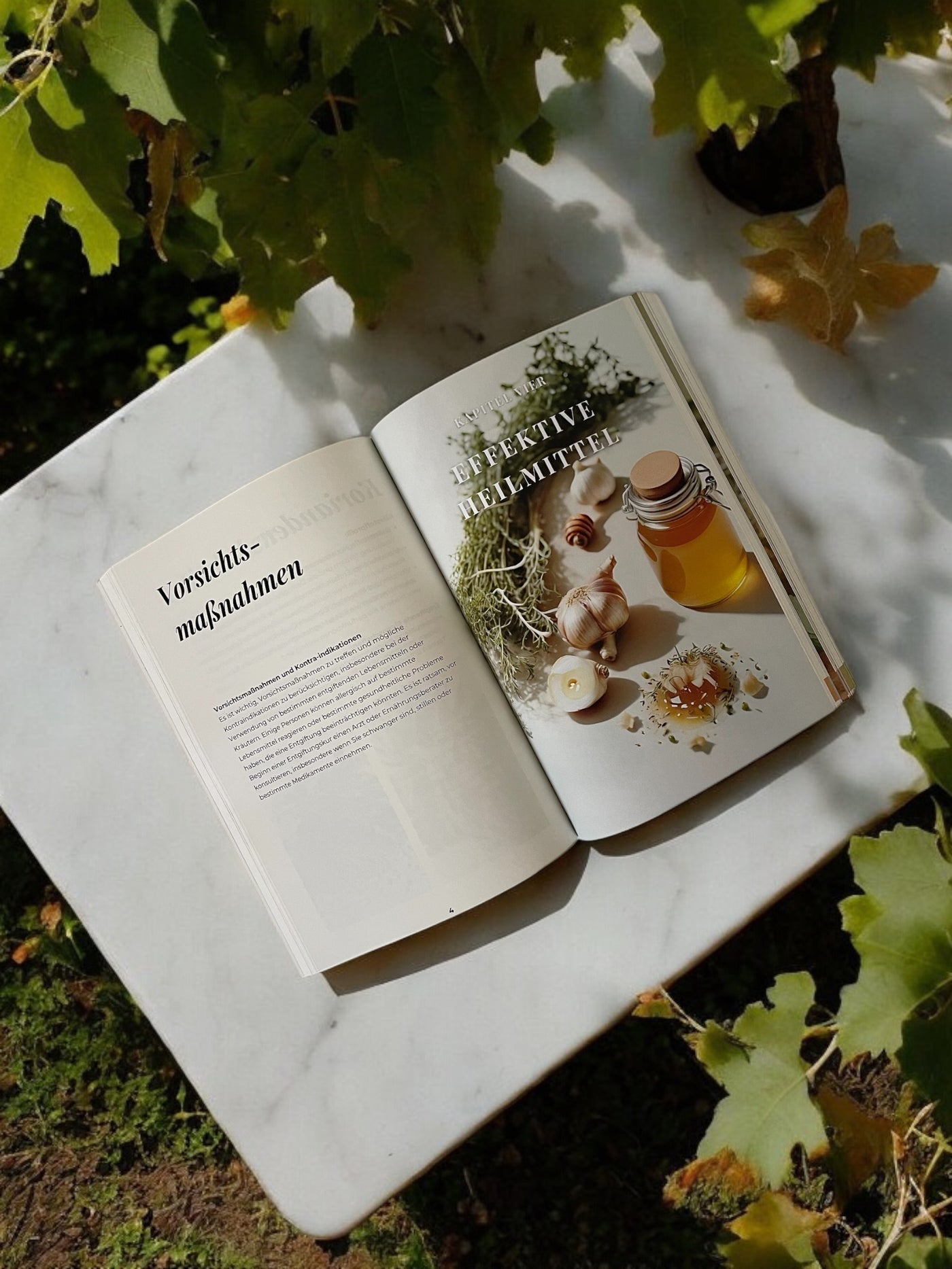 Gesund Durch Wissen - das gebundene Taschenbuch