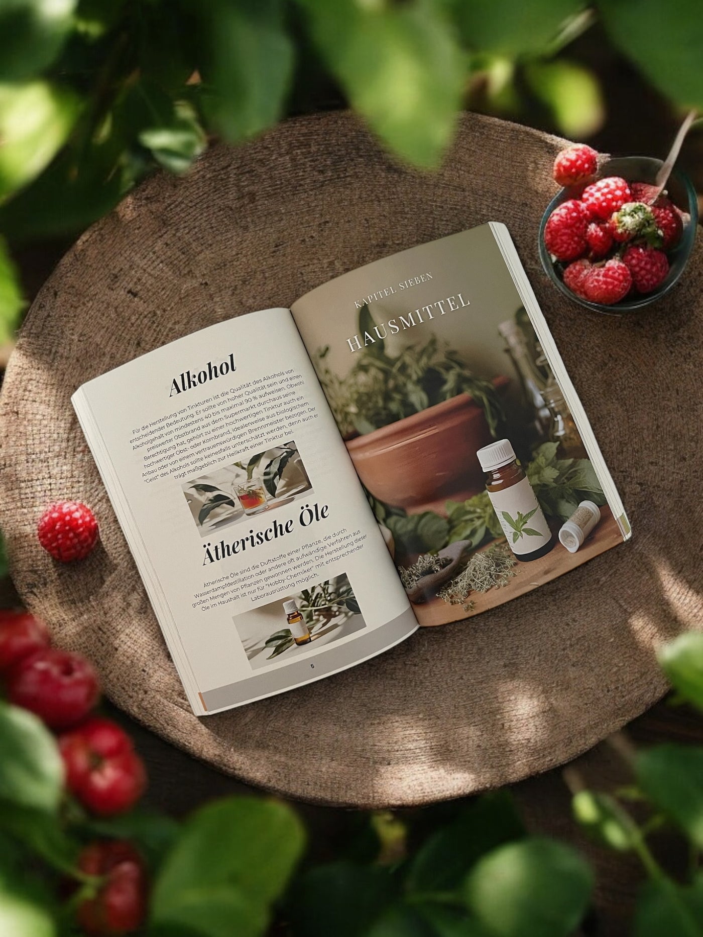 Gesund Durch Wissen - das gebundene Taschenbuch